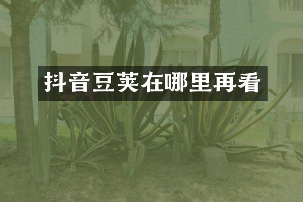 抖音豆荚在哪里再看