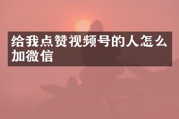 给我点赞视频号的人怎么加微信