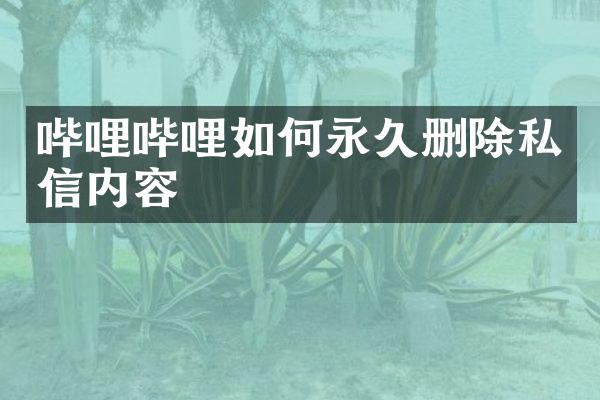 哔哩哔哩如何永久删除私信内容