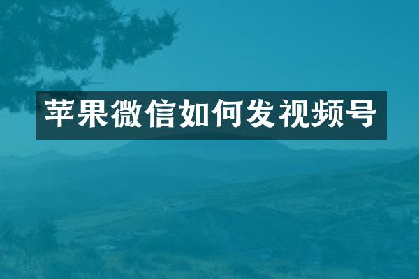 苹果微信如何发视频号
