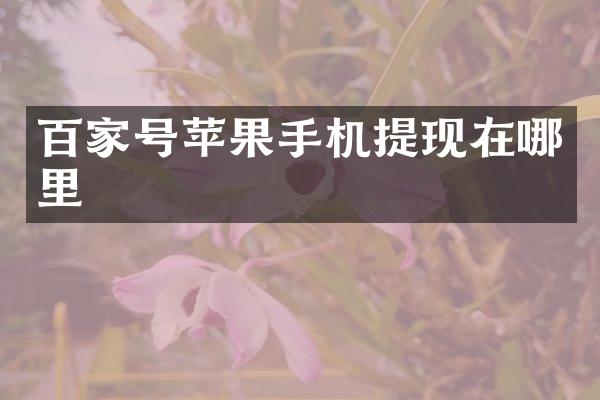 百家号苹果手机提现在哪里