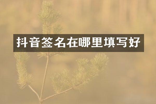 抖音签名在哪里填写好