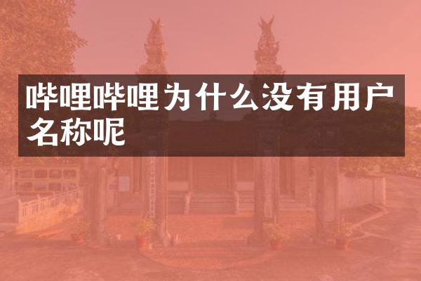哔哩哔哩为什么没有用户名称呢