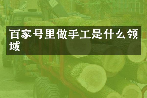 百家号里做手工是什么领域