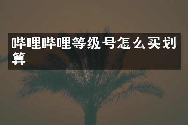 哔哩哔哩等级号怎么买划算