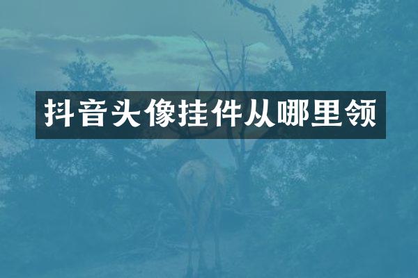 抖音头像挂件从哪里领