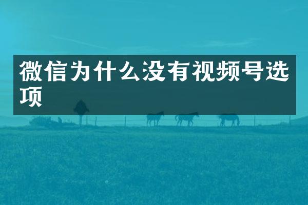 微信为什么没有视频号选项