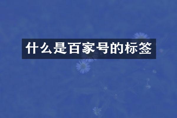 什么是百家号的标签