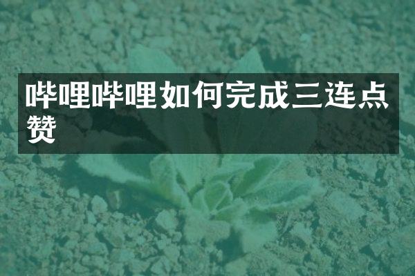 哔哩哔哩如何完成三连点赞