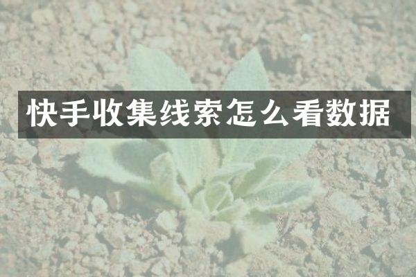 快手收集线索怎么看数据