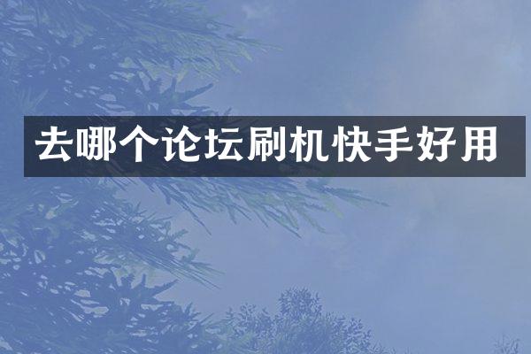 去哪个论坛刷机快手好用