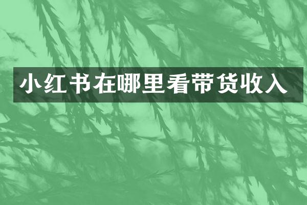 小红书在哪里看带货收入