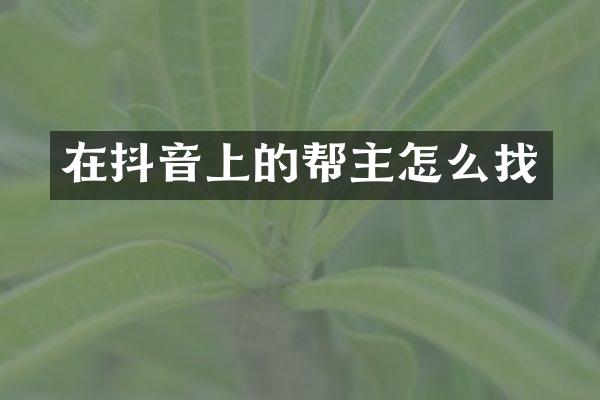 在抖音上的帮主怎么找