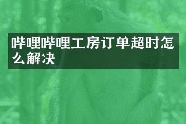 哔哩哔哩工房订单超时怎么解决