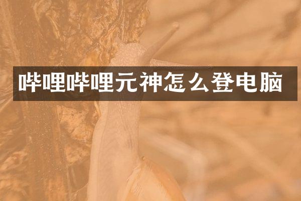 哔哩哔哩元神怎么登电脑