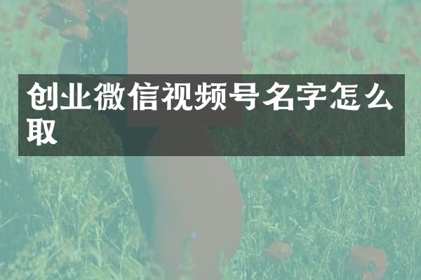 创业微信视频号名字怎么取