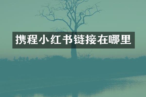 携程小红书链接在哪里