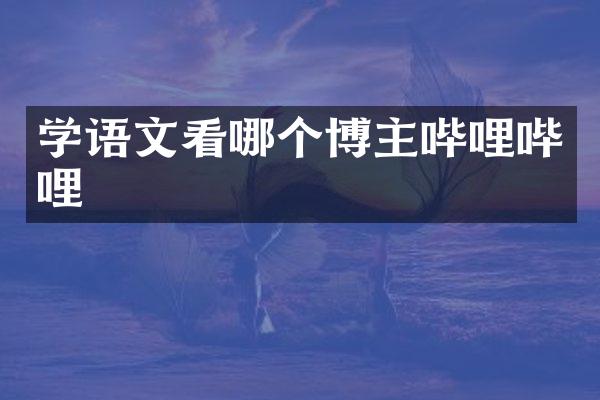 学语文看哪个博主哔哩哔哩