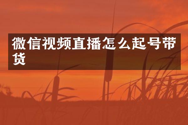 微信视频直播怎么起号带货