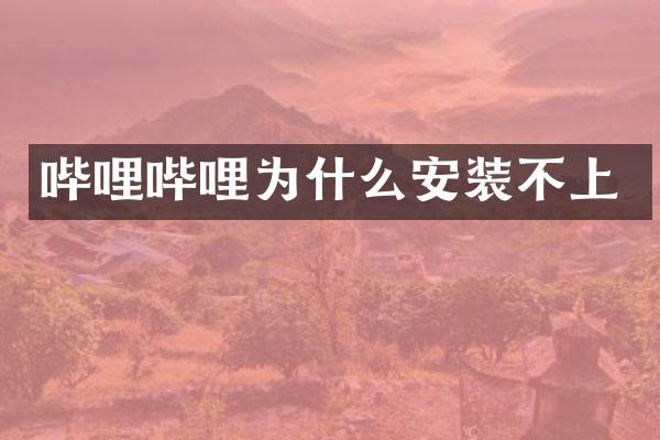 哔哩哔哩为什么安装不上