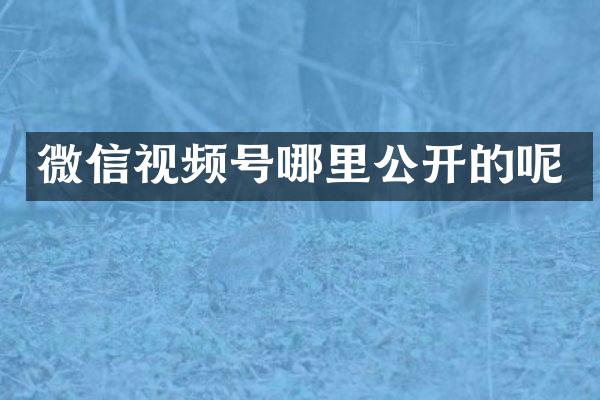 微信视频号哪里公开的呢