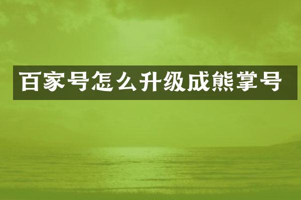 百家号怎么升级成熊掌号