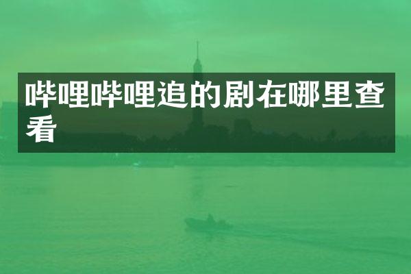 哔哩哔哩追的剧在哪里查看