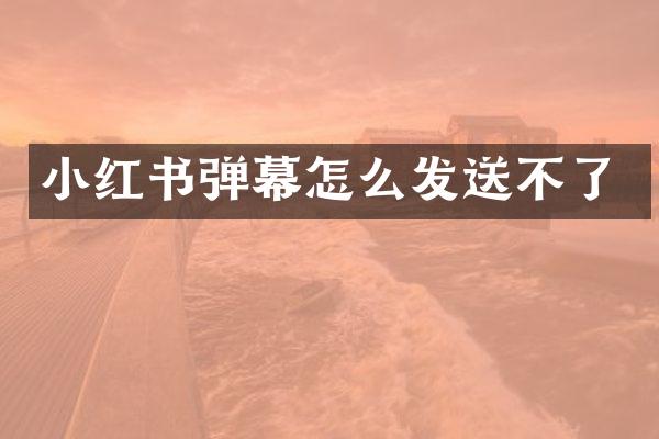 小红书弹幕怎么发送不了