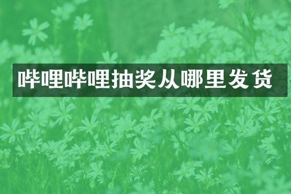 哔哩哔哩抽奖从哪里发货