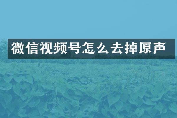微信视频号怎么去掉原声