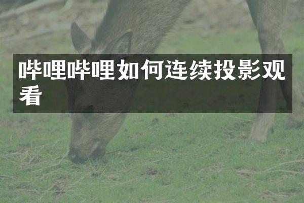 哔哩哔哩如何连续投影观看