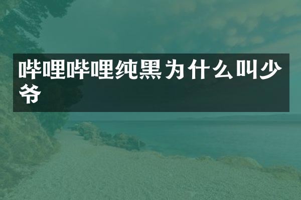 哔哩哔哩纯黑为什么叫少爷