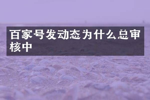 百家号发动态为什么总审核中