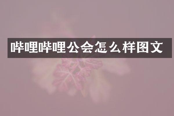 哔哩哔哩公会怎么样图文