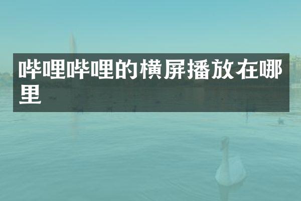 哔哩哔哩的横屏播放在哪里