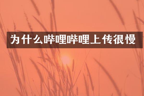 为什么哔哩哔哩上传很慢