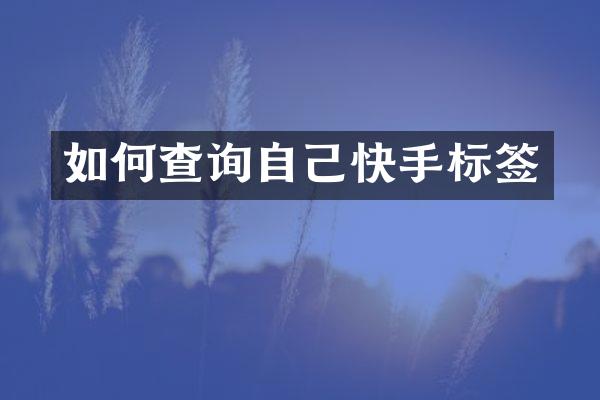 如何查询自己快手标签