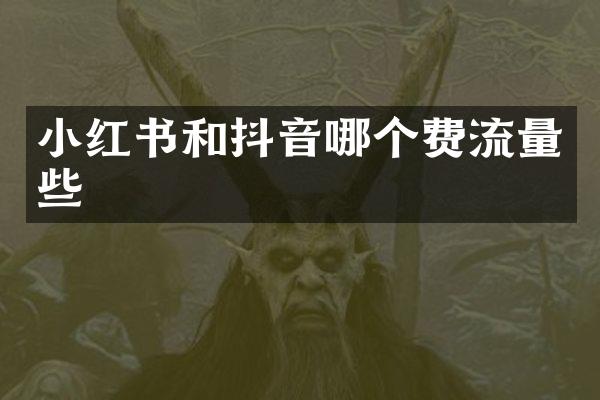 小红书和抖音哪个费流量些