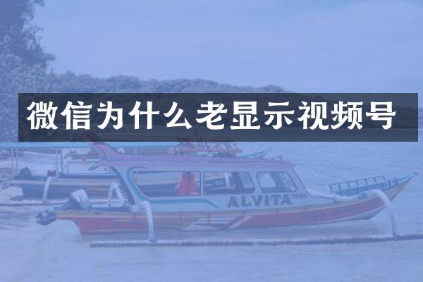 微信为什么老显示视频号