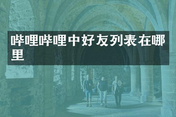 哔哩哔哩中好友列表在哪里