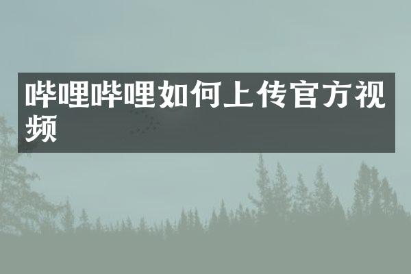 哔哩哔哩如何上传官方视频