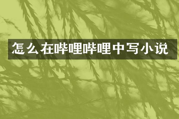怎么在哔哩哔哩中写小说