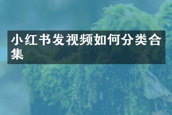 小红书发视频如何分类