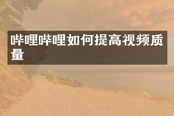 哔哩哔哩如何提高视频质量