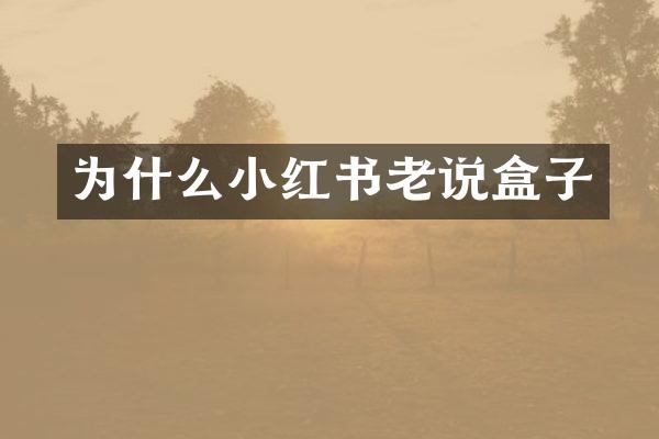 为什么小红书老说盒子