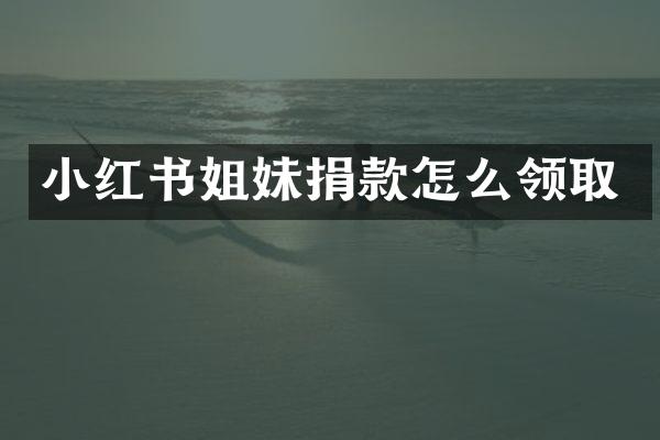 小红书姐妹捐款怎么领取