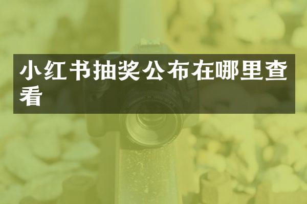 小红书抽奖公布在哪里查看