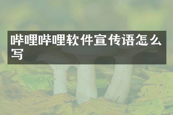 哔哩哔哩软件宣传语怎么写
