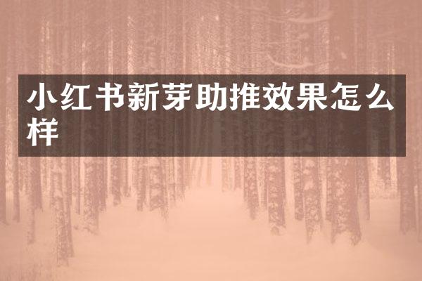 小红书新芽助推效果怎么样