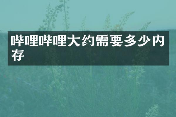 哔哩哔哩大约需要多少内存